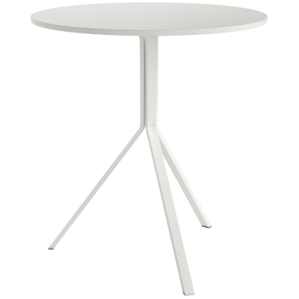 JONICO VARIOS COLORES - 1