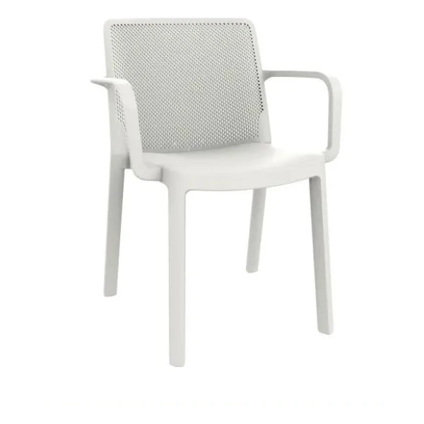 SILLA FRESH CON BRAZOS DE RESOL - 1