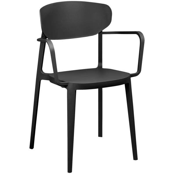 SILLA CON BRAZOS AGUA NEGRA - 1