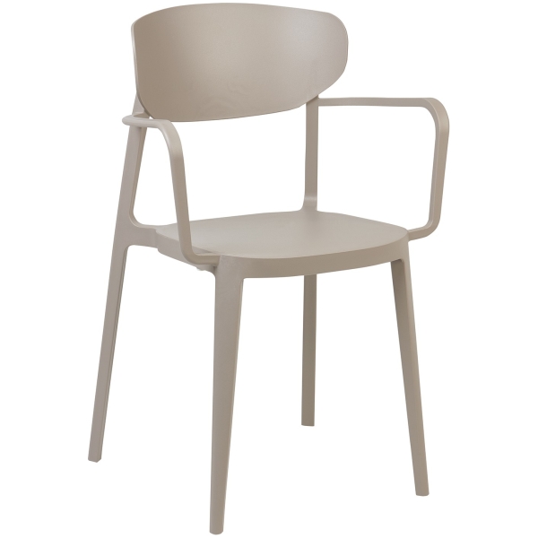 SILLA CON BRAZOS AGUA TORTORA - 1