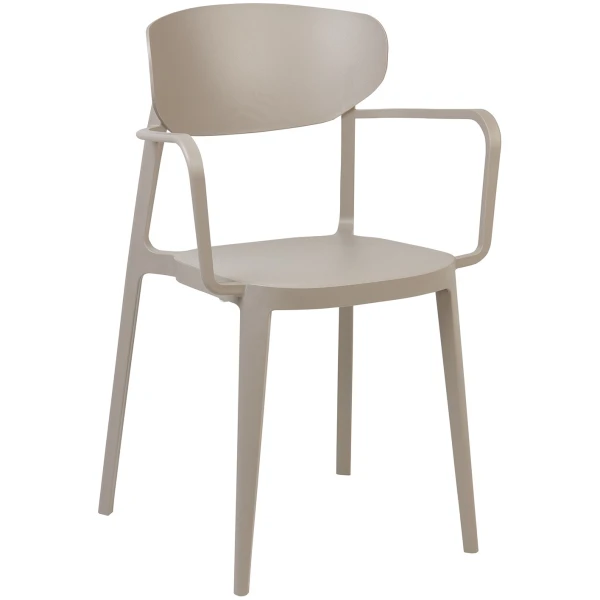 SILLA CON BRAZOS AGUA TORTORA - 1