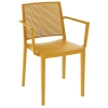 SILLA CON BRAZOS GIRD MOSTAZA - 1