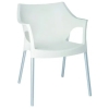 SILLA CON BRAZOS POLE - 1