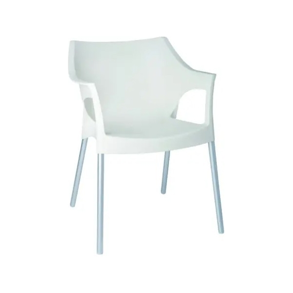 SILLA CON BRAZOS POLE - 1