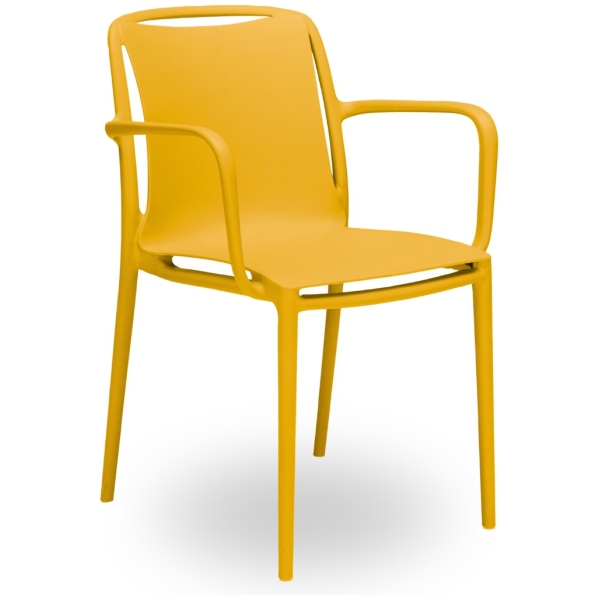 SILLA CON BRAZOS VELAIR COLOR - 1